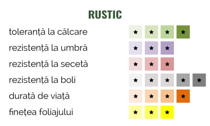 Rustic-2019