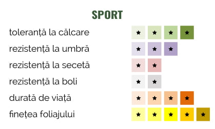 Sport-2019