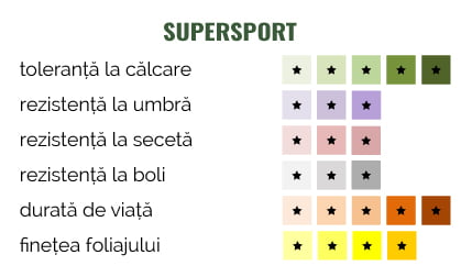SuperSport-2019
