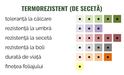 Termorezistent-2019